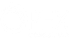 Opex logo